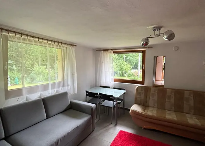 Nad Potokiem דירה